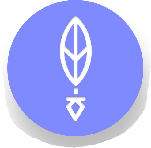 Feedback